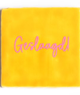 Tegeltje – Geslaagd